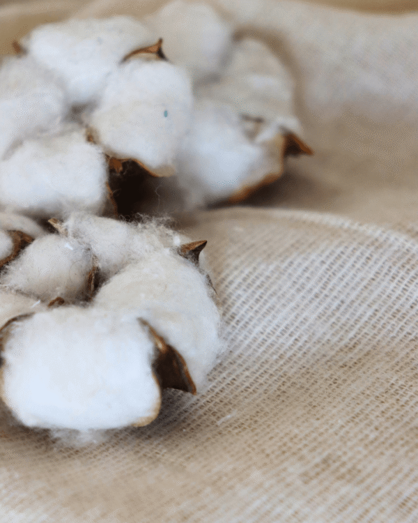 Tela CANAPINA de algodón 100 %, 105 g/m² – ideal para forros, decoración ligera o manualidades – venta al por mayor