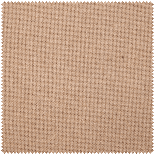 Paloma - Image 7