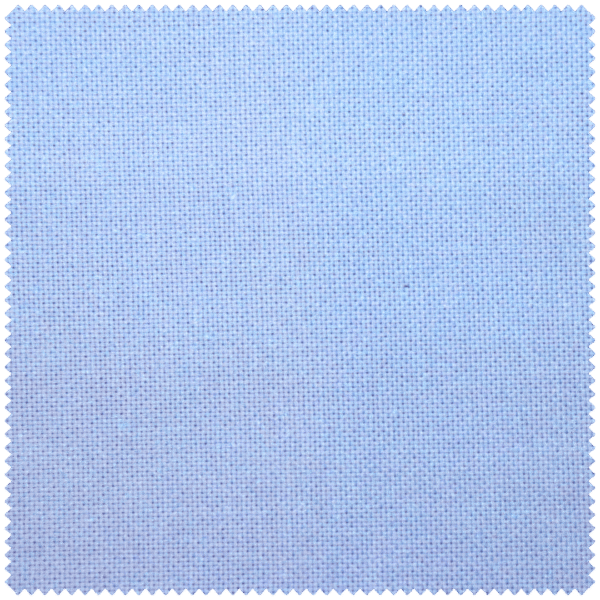 Paloma - Image 4
