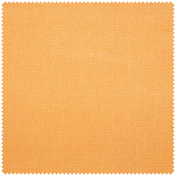 Paloma - Image 3
