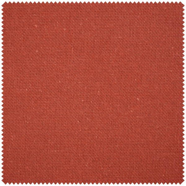 Paloma - Image 2