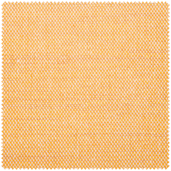 Vanessa - Image 2